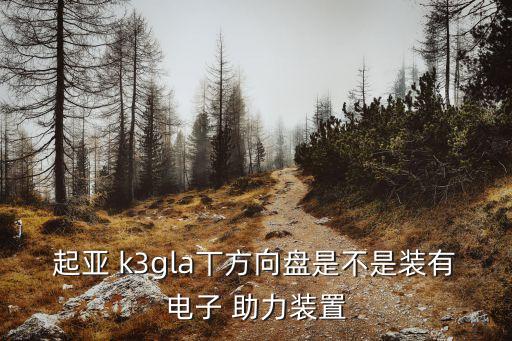 起亚 k3gla丅方向盘是不是装有电子 助力装置