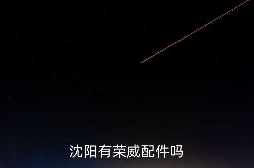 沈阳有荣威配件吗