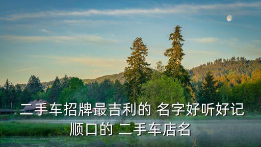  二手车招牌最吉利的 名字好听好记顺口的 二手车店名