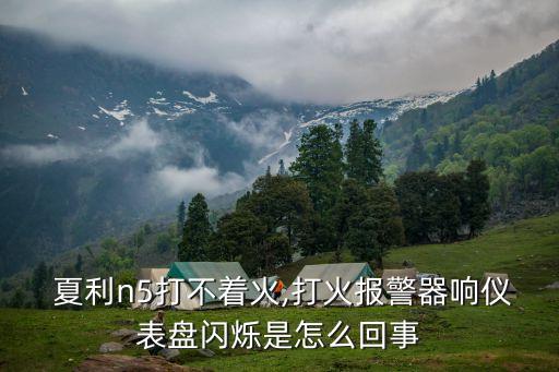  夏利n5打不着火,打火报警器响仪表盘闪烁是怎么回事