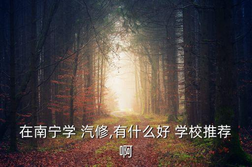 在南宁学 汽修,有什么好 学校推荐啊