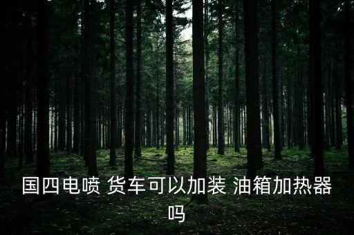 国四电喷 货车可以加装 油箱加热器吗