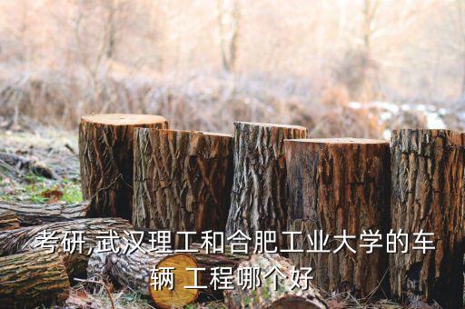  考研,武汉理工和合肥工业大学的车辆 工程哪个好