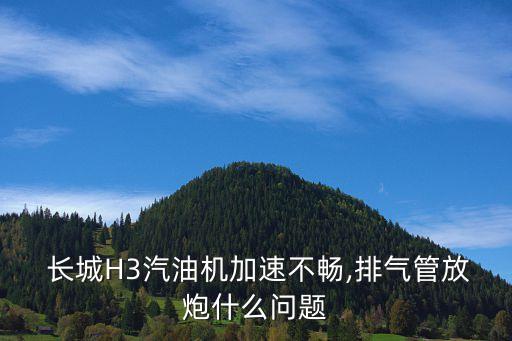  长城H3汽油机加速不畅,排气管放炮什么问题