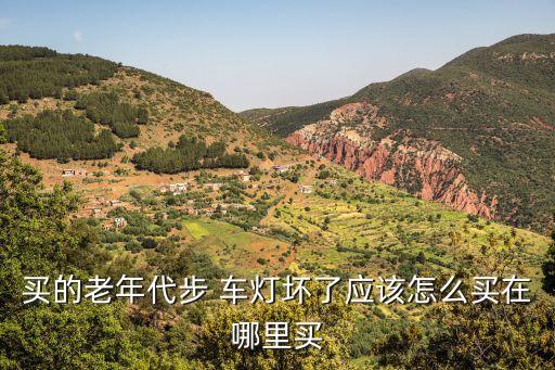 买的老年代步 车灯坏了应该怎么买在哪里买