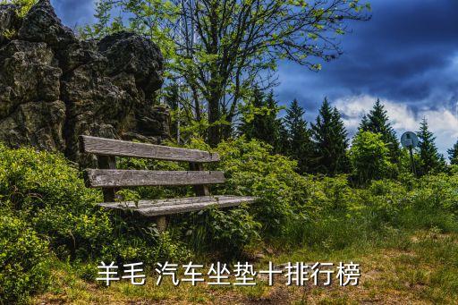 羊毛 汽车坐垫十排行榜