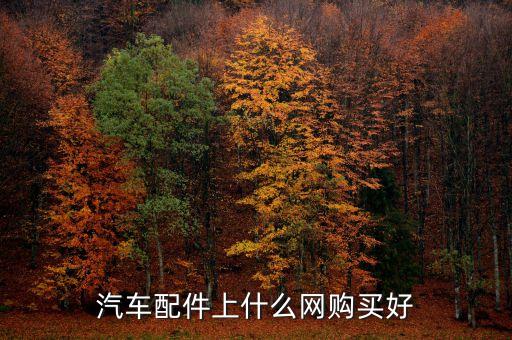买汽配哪个网站最好呢,武汉汽配厂哪个厂最好