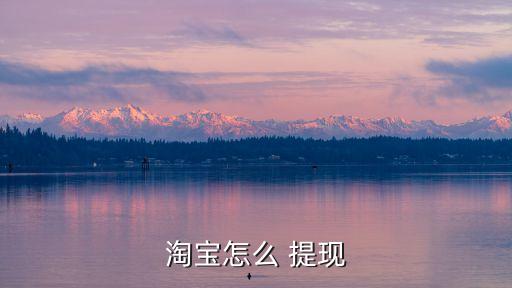 淘宝里的钱怎么提现呢,淘宝商家钱怎么提出来