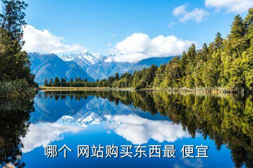 哪个 网站购买东西最 便宜