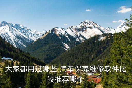 大家都用过哪些 汽车保养维修软件比较推荐哪个