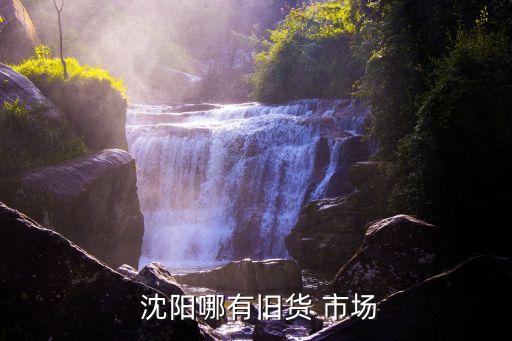  沈阳哪有旧货 市场