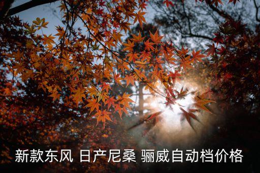 日产骊威机脚垫多少钱,2011年日产骊威多少钱
