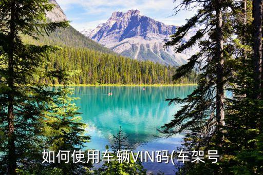 汽车vin码在线查询,汽车ViN码是什么