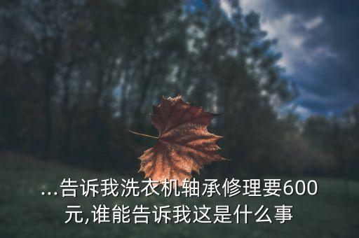 ...告诉我洗衣机轴承修理要600元,谁能告诉我这是什么事