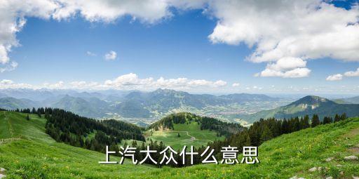 上海开迪配件,大众开迪配件和谁通用