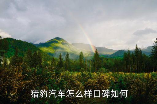  猎豹汽车怎么样口碑如何