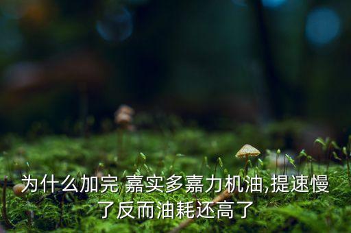 为什么加完 嘉实多嘉力机油,提速慢了反而油耗还高了