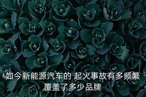 如今新能源汽车的 起火事故有多频繁覆盖了多少品牌