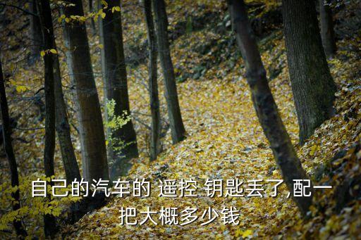 自己的汽车的 遥控 钥匙丢了,配一把大概多少钱