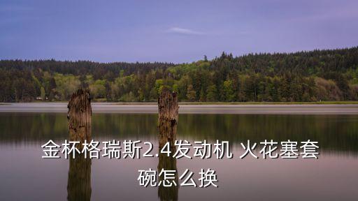  金杯格瑞斯2.4发动机 火花塞套碗怎么换