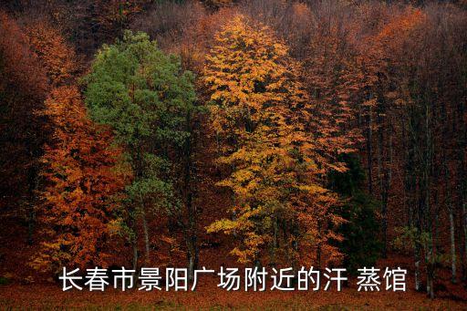 长春市景阳广场附近的汗 蒸馆