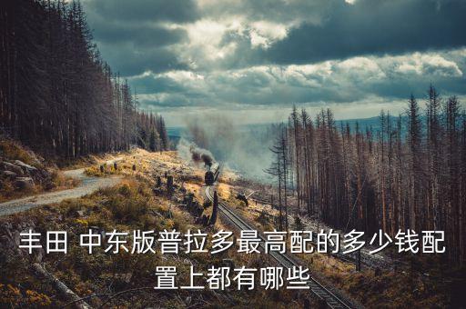 丰田 中东版普拉多最高配的多少钱配置上都有哪些