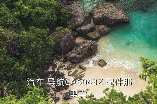  汽车 导航CA6043Z 配件那里卖