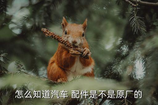 怎么知道汽车 配件是不是原厂的