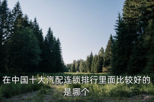 费比汽车配件品牌,十大汽车零部件供应商排名