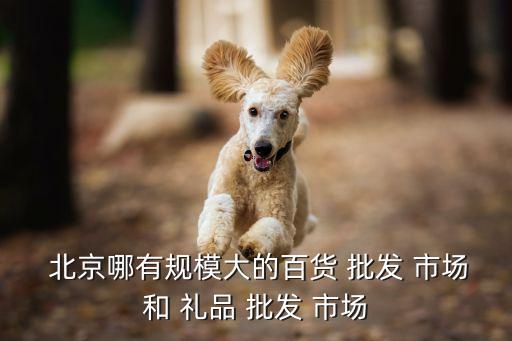  北京哪有规模大的百货 批发 市场和 礼品 批发 市场