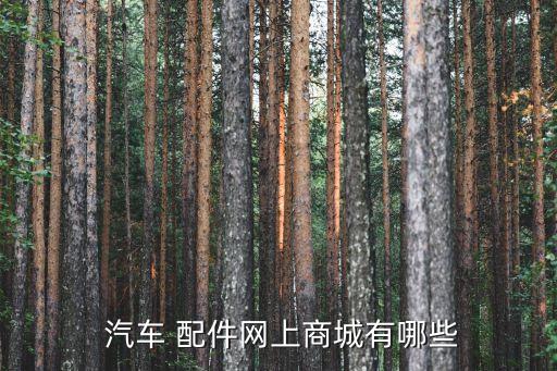  汽车 配件网上商城有哪些