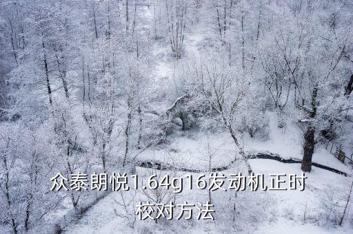  众泰朗悦1.64g16发动机正时校对方法