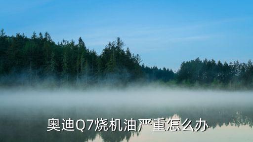  奥迪Q7烧机油严重怎么办