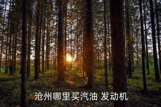  沧州哪里买汽油 发动机
