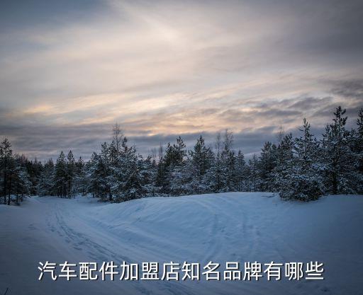汽车配件加盟店知名品牌有哪些