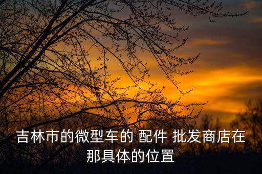长春汽车配件装饰批发,长春大众汽车配件批发电话