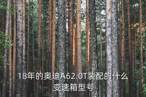 a6变速箱是什么,2011款奥迪a6是什么变速箱