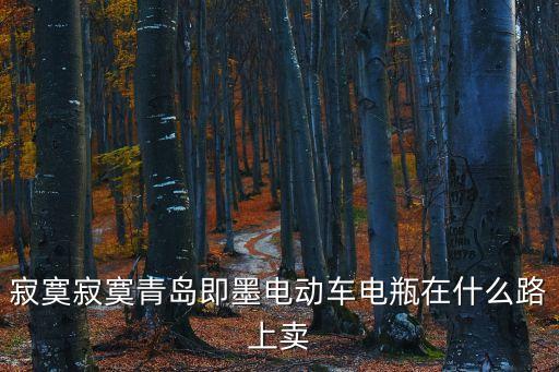 寂寞寂寞青岛即墨电动车电瓶在什么路上卖