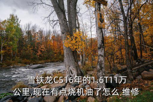  雪铁龙C516年的1.6T11万公里,现在有点烧机油了怎么 维修