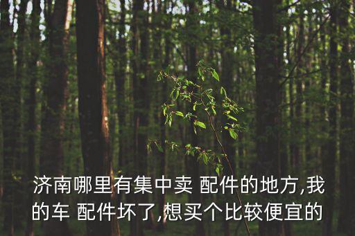 济南哪里有集中卖 配件的地方,我的车 配件坏了,想买个比较便宜的