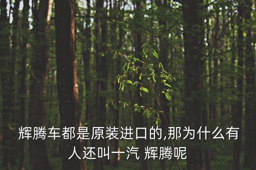  辉腾车都是原装进口的,那为什么有人还叫一汽 辉腾呢