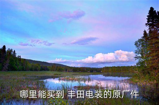 哪里能买到 丰田电装的原厂件