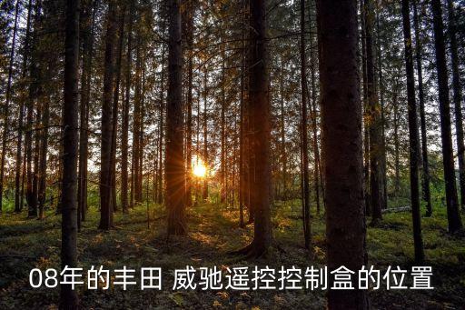 08年的丰田 威驰遥控控制盒的位置