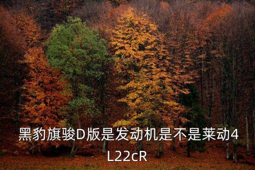  黑豹旗骏D版是发动机是不是莱动4L22cR