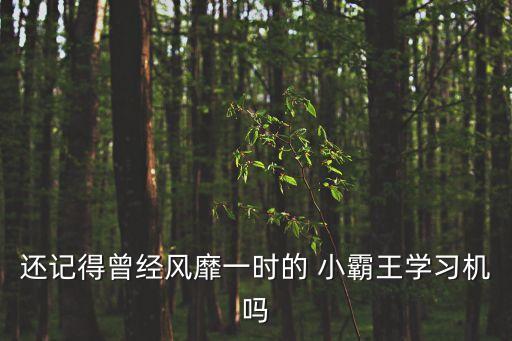 还记得曾经风靡一时的 小霸王学习机吗