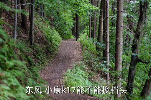  东风 小康k17能不能换档头