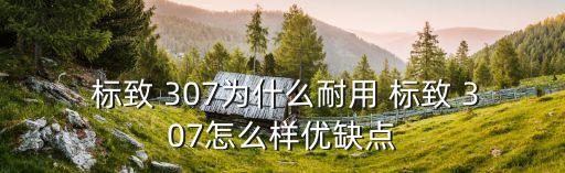 标致307机械助力泵多少钱