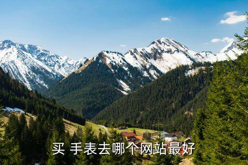 买 手表去哪个网站最好