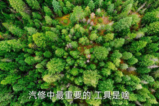 汽修中最重要的 工具是啥