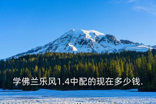 学佛兰乐风1.4中配的现在多少钱...